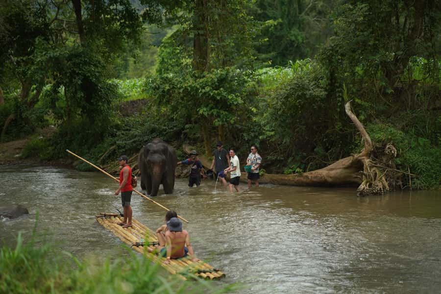 Chiang Mai: ATV Adventure 2-Hrs,Feeding,Rafting & Lunch Trip - Traditional jungle lunch: where you’ll actually reset