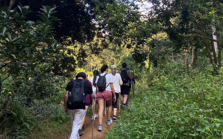 Chiang Mai: ATV Adventure, Jungle Hike & White Water Rafting - แก่งกื้ด Rafting: 5 Kilometers of River Fun (Not Full-Contact)