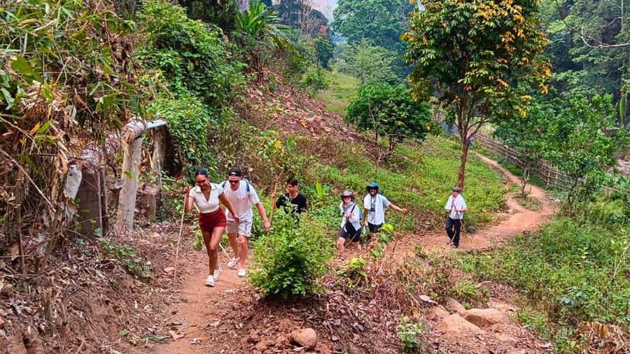 Chiang Mai: ATV Adventure, Jungle Hike & White Water Rafting - Price and What’s Included in the Value at $87