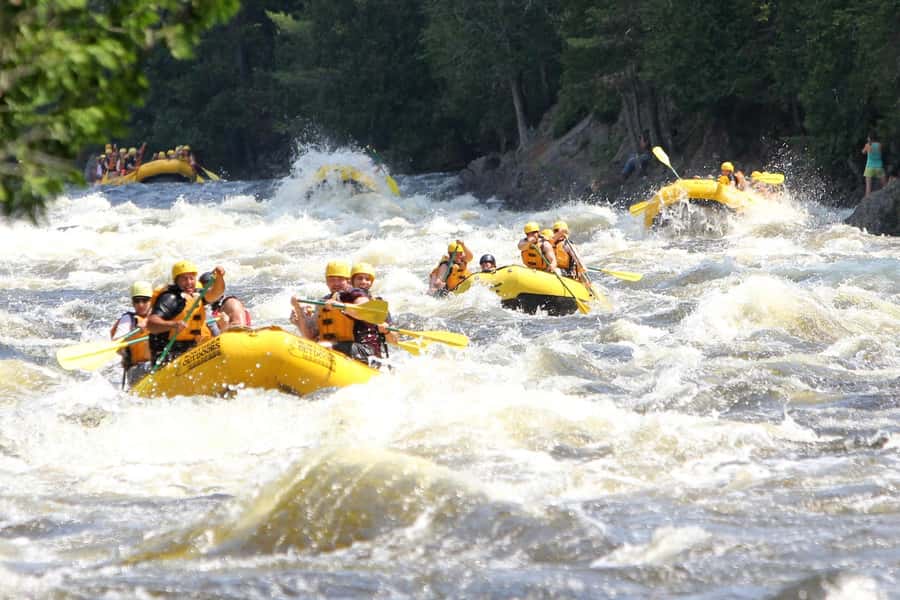 Chiang Mai ATV & White Water Rafting & Trekking to Waterfall - Key highlights to expect