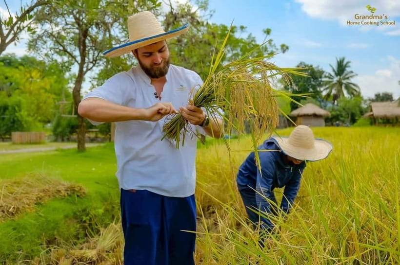 Chiang Mai: Authentic Cooking Class with Market & Farm Visit - Timing, transfers, and the small details that affect your day