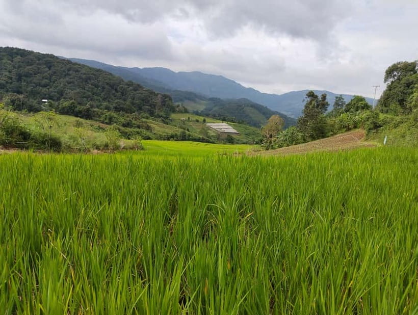 Chiang Mai Authentic Trekking - The trek begins at the village school: shifting from visitors to walkers