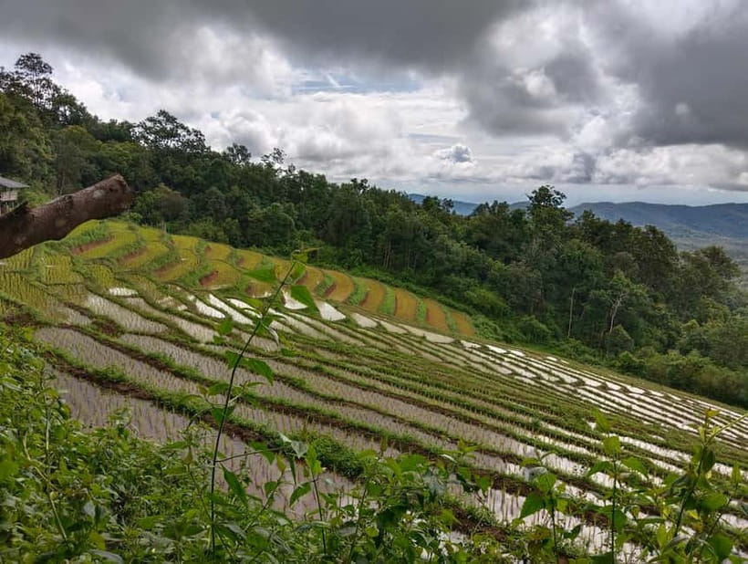 Chiang Mai Authentic Trekking - 12km of mountain trail: medium difficulty, steep bits, and what you’ll see
