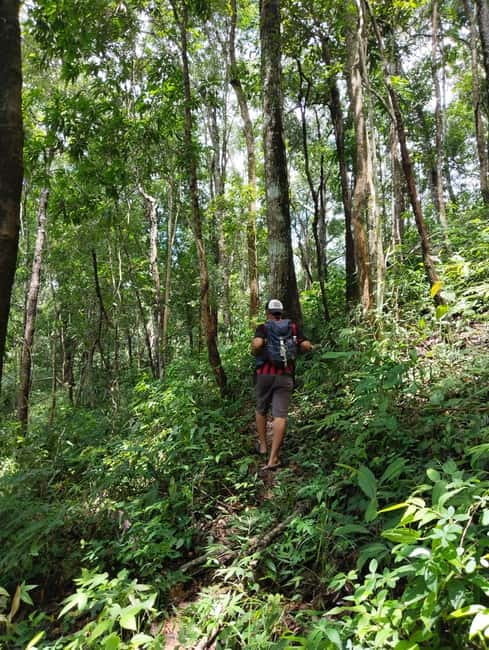 Chiang Mai Authentic Trekking - Hidden waterfall refresh: swimming, photos, and the end-of-day reset
