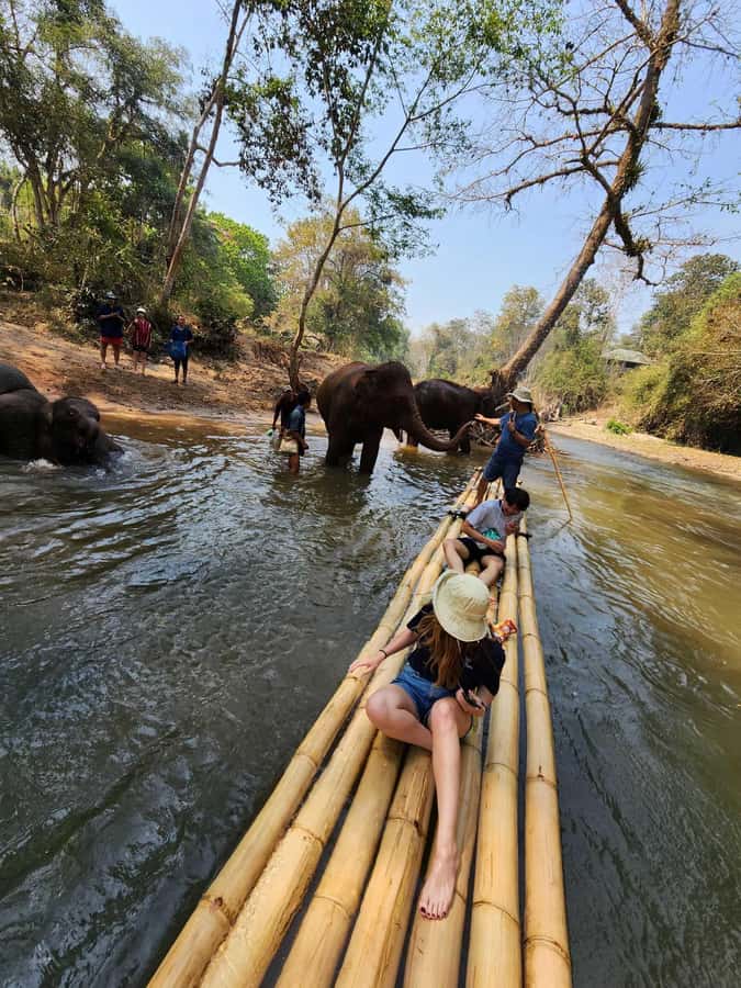 Chiang Mai: Bamboo Rafting and Wat Phra That Doi Kham - Bamboo Rafting on the Mae Wang River: the 2.5-hour payoff