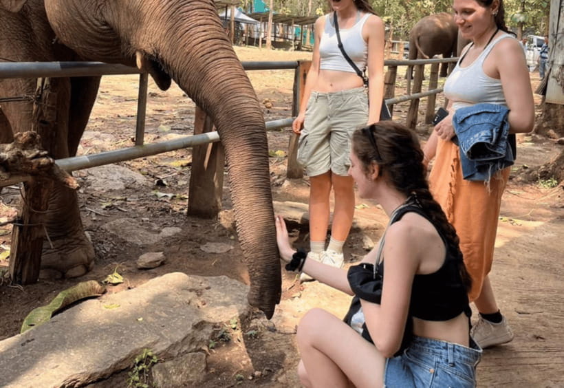 Chiang Mai: Bamboo Rafting with Hotel Transfers - Who This Tour Suits Best (and Who Might Prefer Something Else)