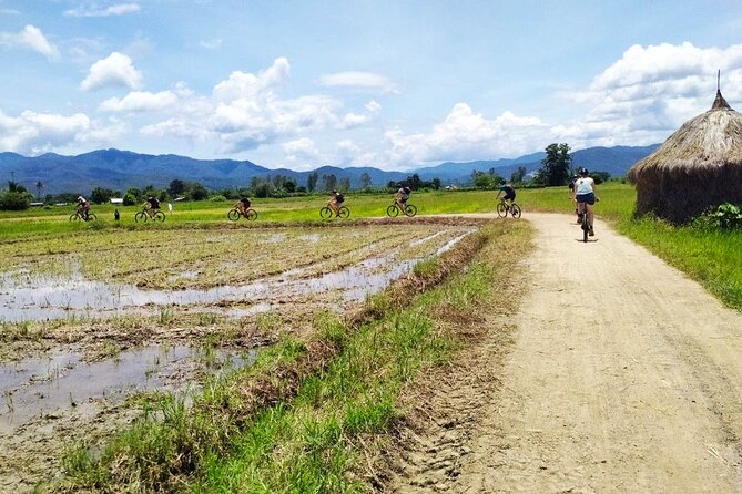 Chiang Mai Biking & River Kayak : Gentle Thrills in a Lush Valley - What the guides do (and why it matters)