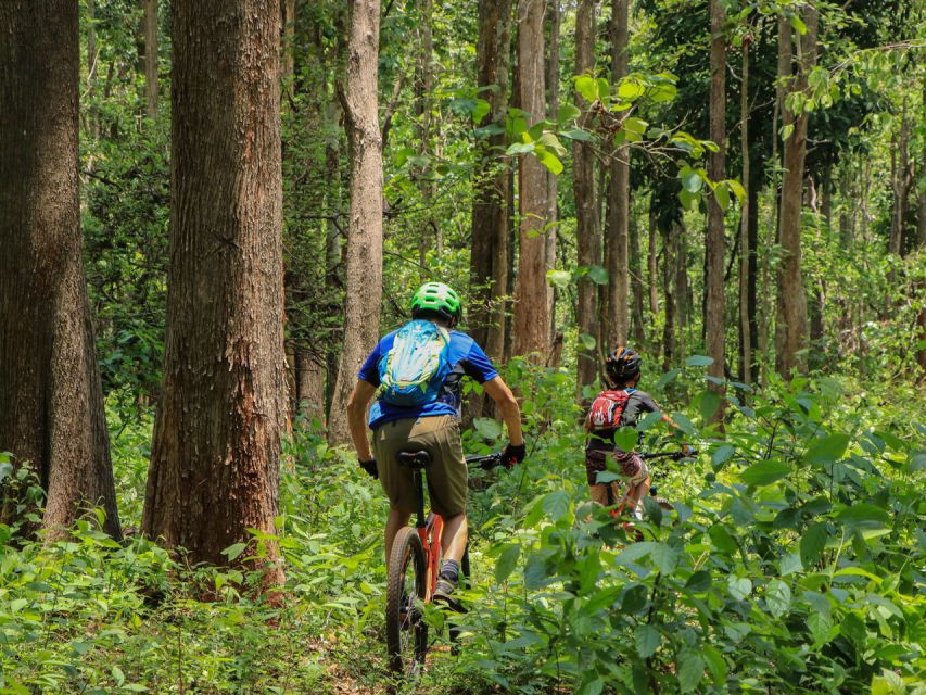 Chiang Mai: Boat Ride and Cycling Tour to Sticky Waterfall - Key takeaways before you go