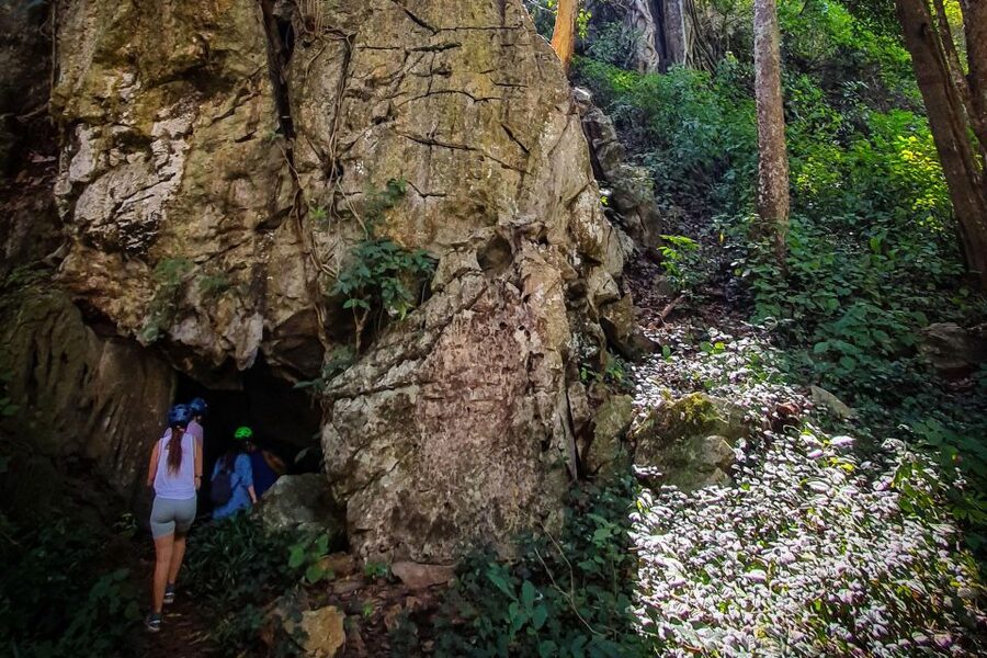 Chiang Mai: Boat Ride and Cycling Tour to Sticky Waterfall - The 30 km pedal: teak forests, villages, and that bat-cave stop