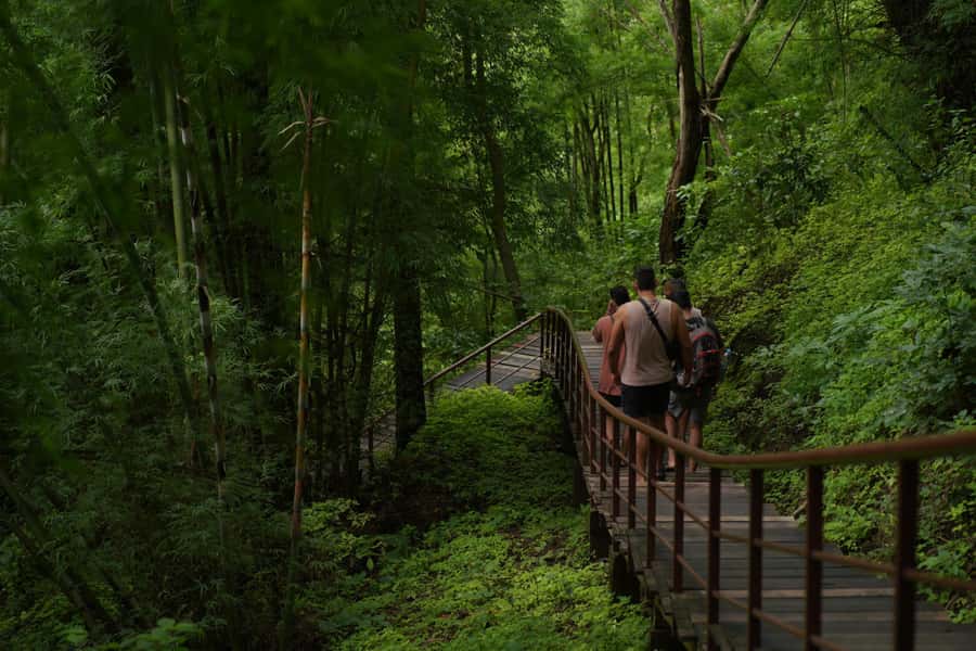 Chiang Mai: Bua Thong Sticky Waterfall & Huge Cave & Buffet - Price and what you’re actually paying for