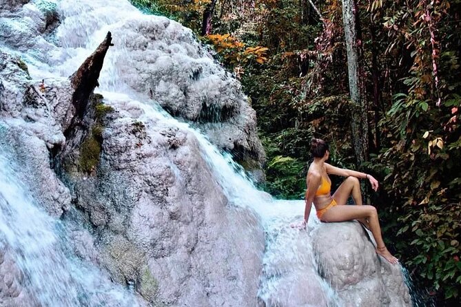 Chiang Mai Chapulin Elephant Care and Sticky Waterfall - Jungle Time With the Elephants: What You’ll Actually Do