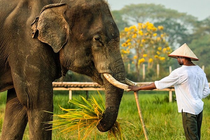 Chiang Mai Chapulin Elephant Care and Sticky Waterfall - Elephant Bathing and the Rinse: Wet Clothes, Big Smiles, Realistic Expectations