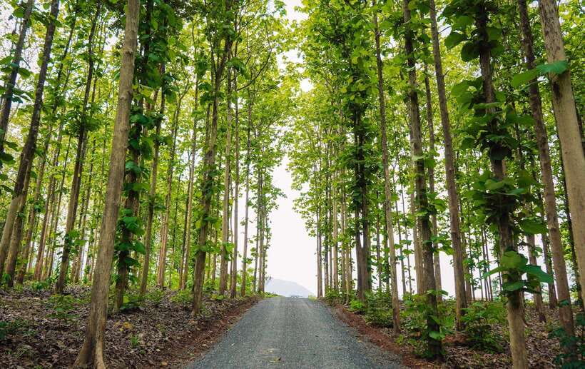 Chiang Mai: Chiang Dao 2 Days 1 Night Private Tour - Khampanna Café and a BBQ dinner: the best kind of downtime