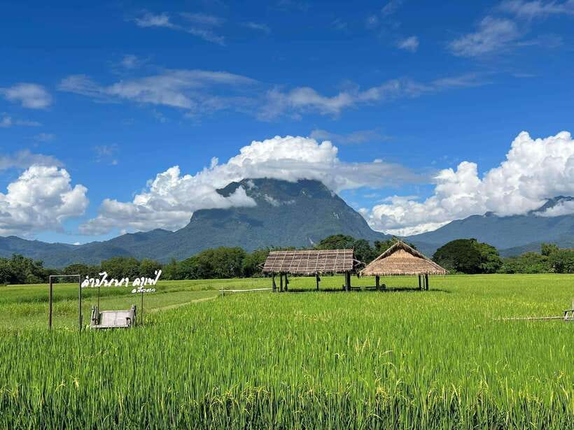 Chiang Mai: Chiang Dao 2 Days 1 Night Private Tour - Getting back to Chiang Mai: end early enough to enjoy your evening