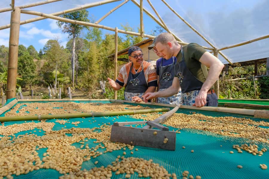 Chiang Mai Coffee Full Day Tour: Trek, Brew & Roast Journey. - Who this tour fits best (and who might feel out of place)