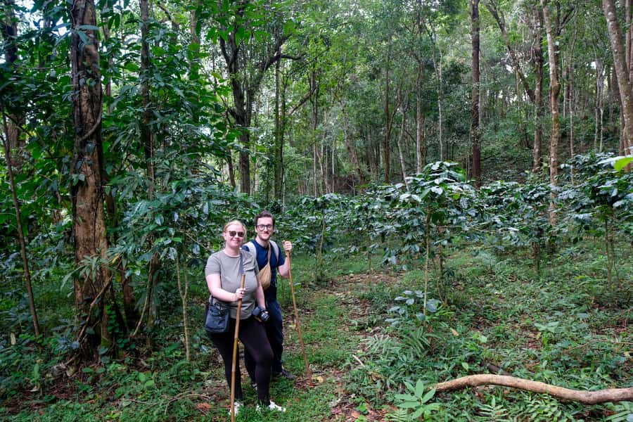Chiang Mai Coffee Full Day Tour: Trek, Brew & Roast Journey. - The 50-minute upstream forest trek to the coffee source