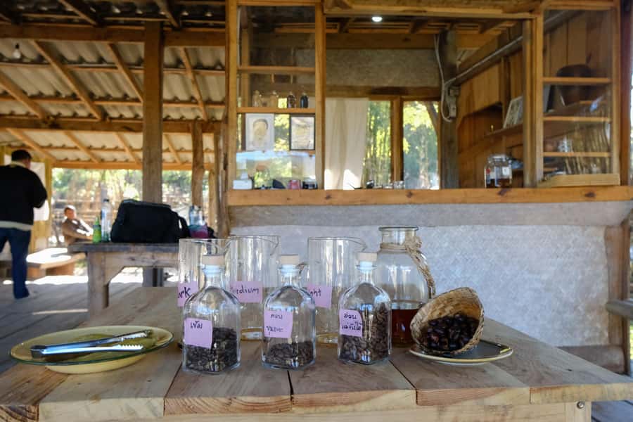 Chiang Mai Coffee Full Day Tour: Trek, Brew & Roast Journey. - Price and value: why $118 can make sense here