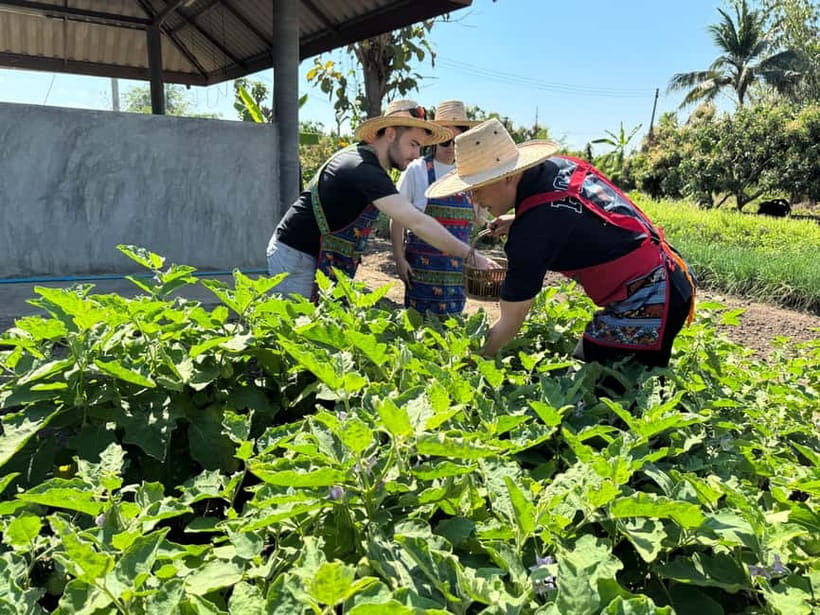 Chiang Mai : Cook in Farm, Market tour & Go by a Local Train - Alcohol Policy and What to Expect From the Meal Style