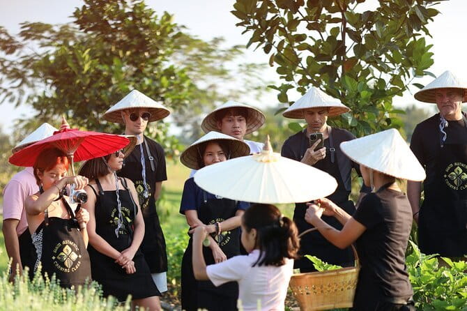 Chiang Mai Cooking Class - Siam Authentic Cooking Class - Price and value: why $33 can be a very smart splurge
