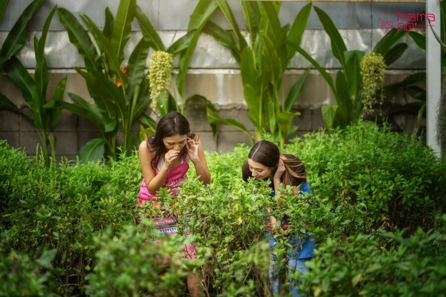 Chiang Mai: Cooking Class with Organic Farm at Mama Noi - The Meal You Make: Sitting Down to Food With Confidence