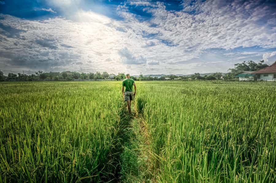 Chiang Mai: Countryside Adventure by Bike - Ban Tawai woodcarving village: craft you can actually see