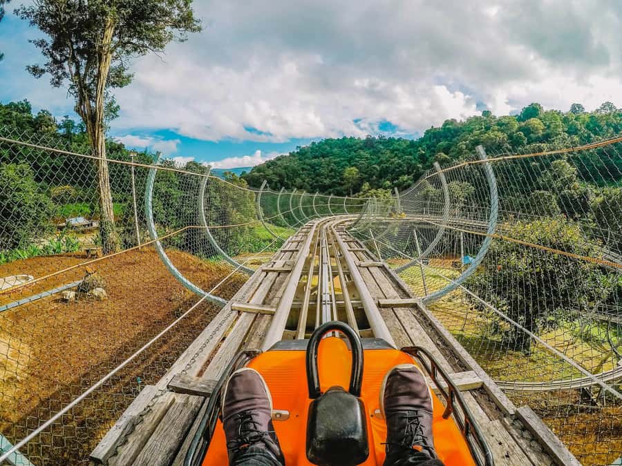 Chiang Mai: Customizable Chiang Mai Surrounding Areas Tour - Route 1: Doi Inthanon National Park, Wachirathan Waterfall, and royal pagodas