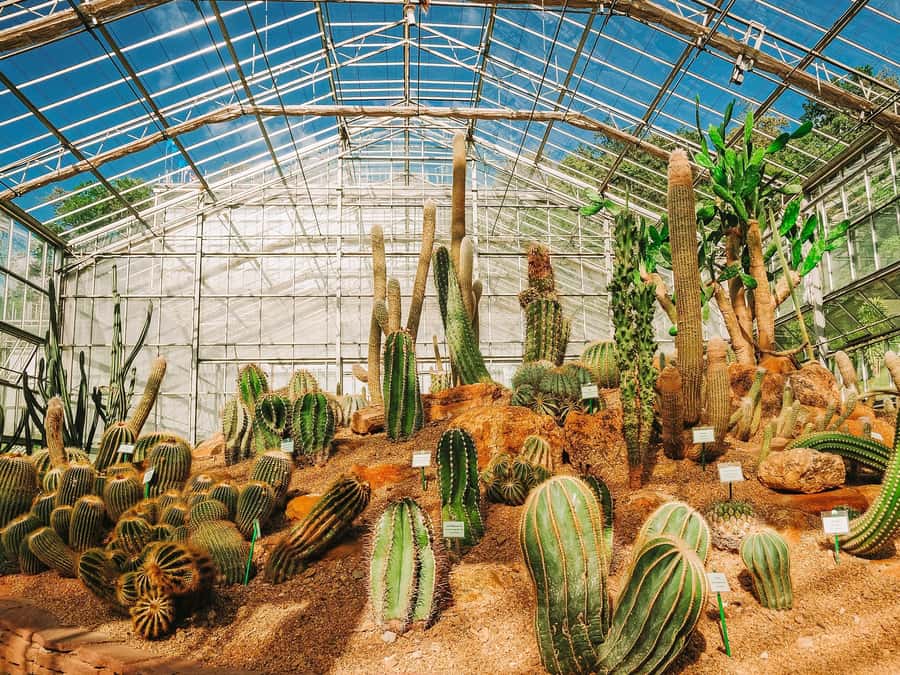 Chiang Mai: Customizable Chiang Mai Surrounding Areas Tour - Route 3: San Kamphaeng Hot Springs and Ban Mae Kampong village life