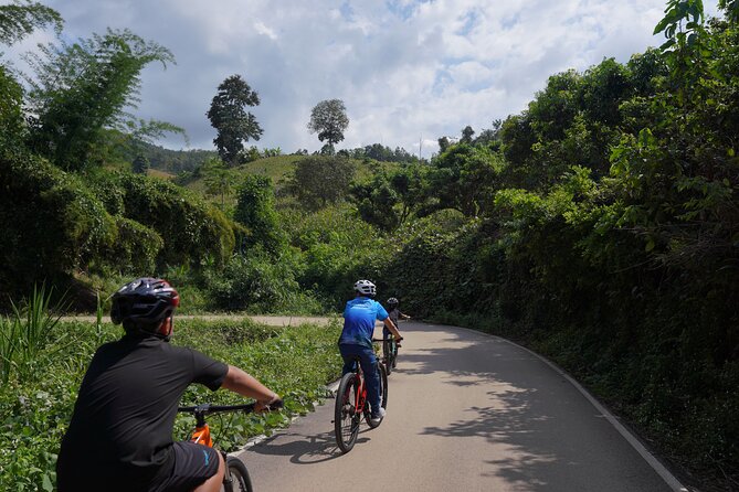 Chiang Mai: Cycling Nam Phare Countrysides, Breezy-Relax & Lunch - Key Highlights You’ll Actually Feel