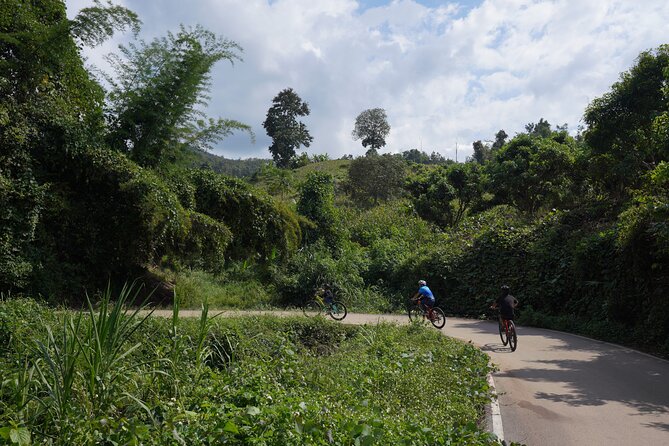 Chiang Mai: Cycling Nam Phare Countrysides, Breezy-Relax & Lunch - Optional Grand Canyon Drop-off: Extend Your Chiang Mai Day