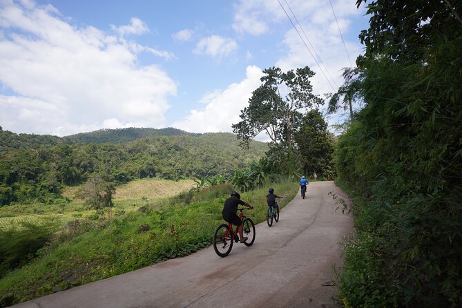 Chiang Mai: Cycling Nam Phare Countrysides, Breezy-Relax & Lunch - Who This Tour Fits Best (And Who Might Want Something Else)
