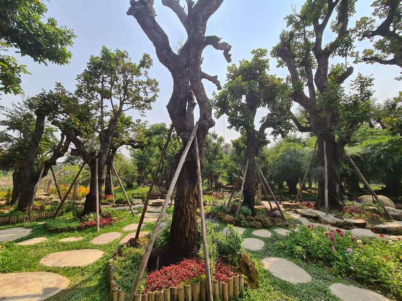 Chiang Mai: Dantewada Land of Angels & Sticky Waterfall Tour - The Seven-Colored Fountain trail: birds, shade, and a sacred warning