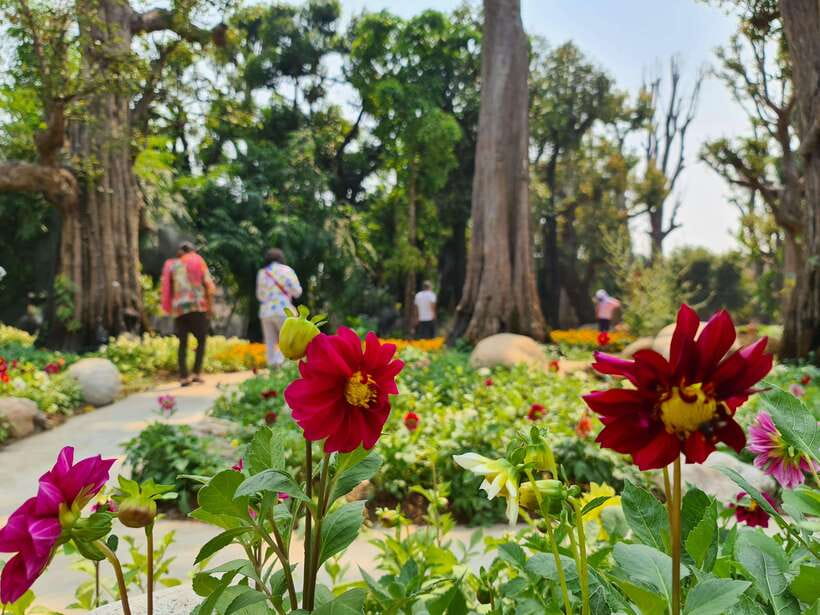 Chiang Mai: Dantewada Land of Angels & Sticky Waterfall Tour - What to pack for Sticky Waterfall comfort (not just dry clothes)