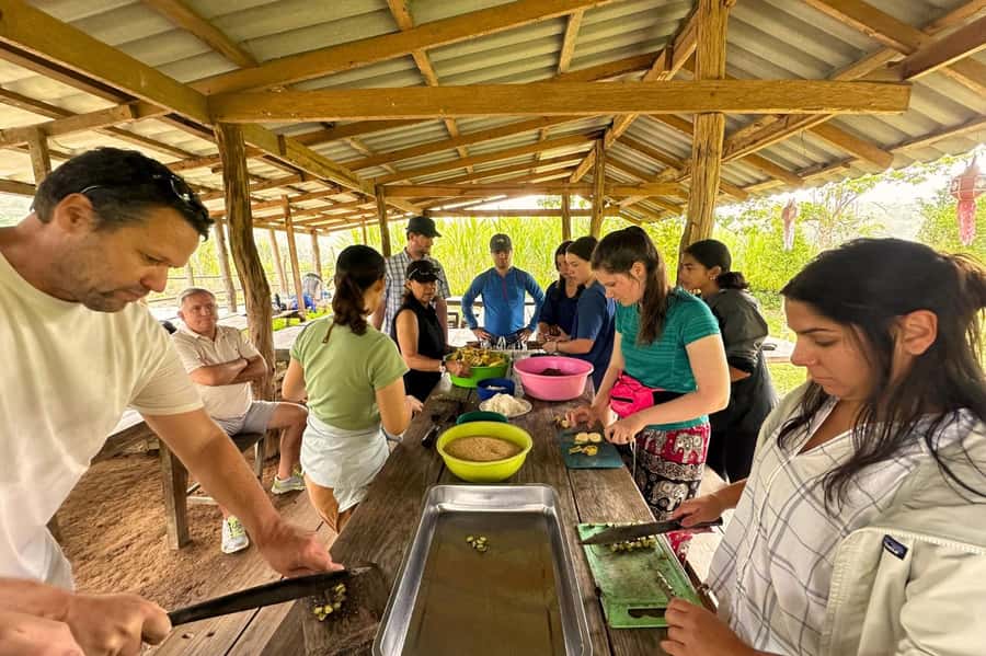 Chiang Mai: Day for Elephant Observation Only Half-day Trip - Key things that make this trip worth your time