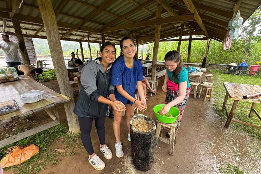 Chiang Mai: Day for Elephant Observation Only Half-day Trip - Elephant education briefing: how Su explains daily elephant life
