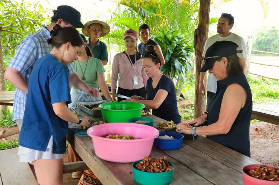 Chiang Mai: Day for Elephant Observation Only Half-day Trip - Food prep and ethical feeding: your role is to help, not manage