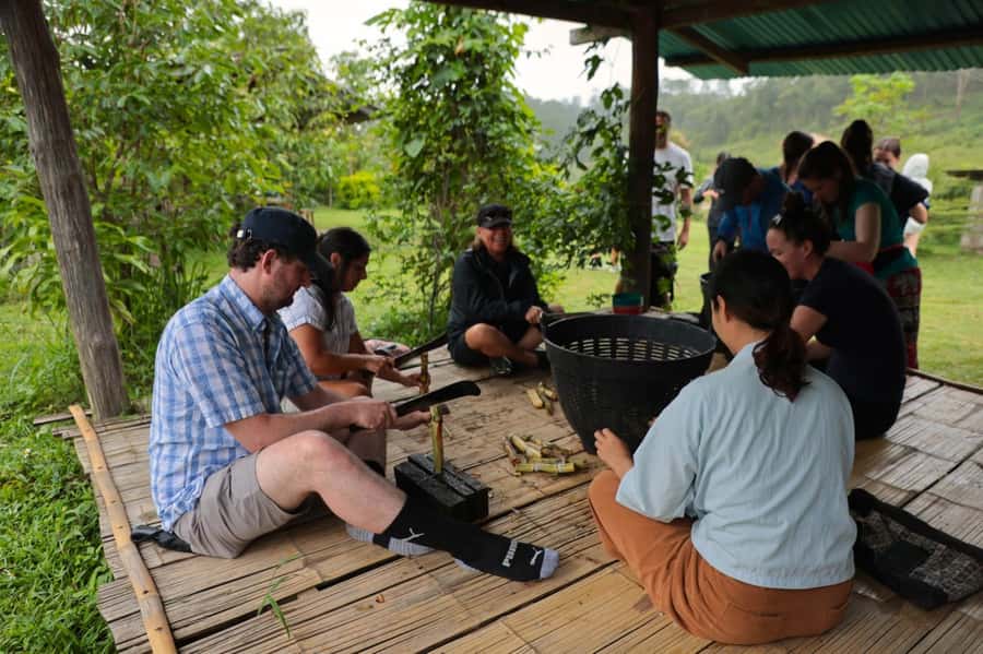 Chiang Mai: Day for Elephant Observation Only Half-day Trip - Pad Thai cooking workshop: a real lunch you can recreate