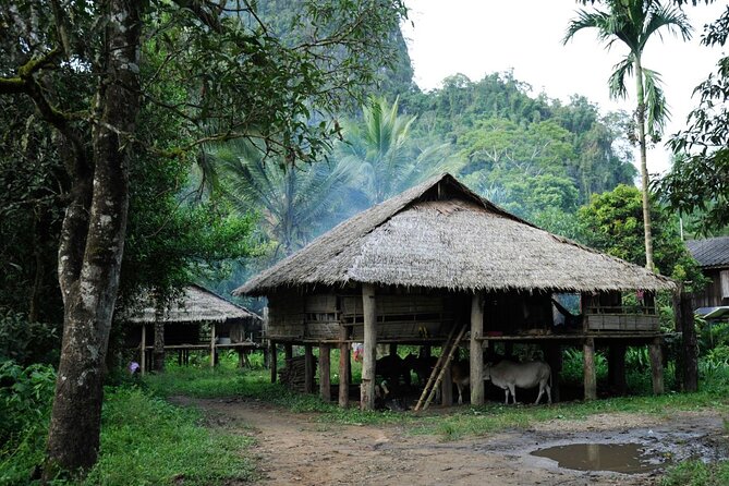 Chiang Mai Day Tour: Chiang Dao Cave and Hill Tribes - What to Watch Out For: Narrow Cave Passages and Rain Days