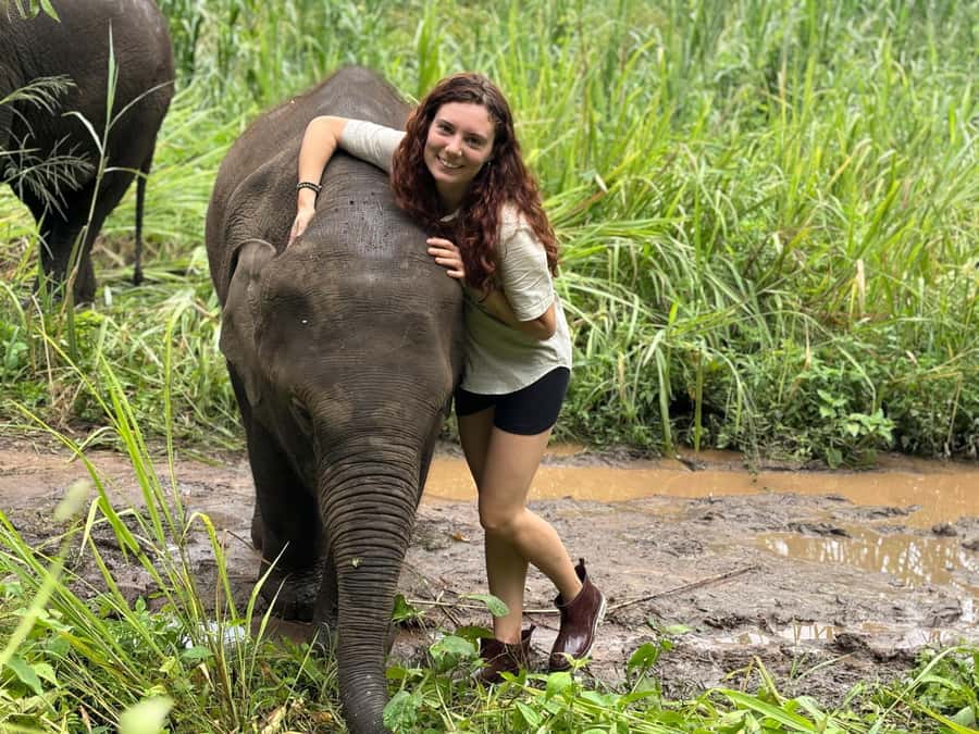 Chiang Mai: Doi Inthanon and Elephant Sanctuary Tour - What guides really do (and why that matters)