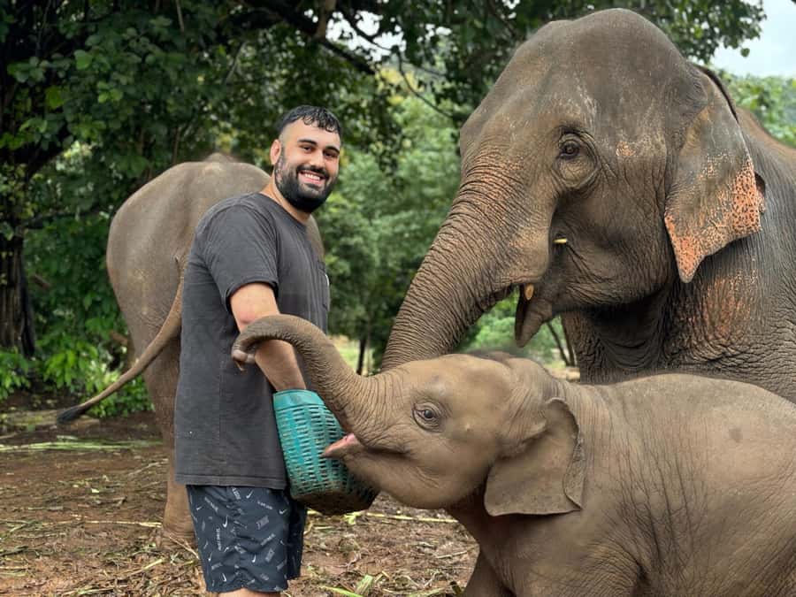 Chiang Mai: Doi Inthanon and Elephant Sanctuary Tour - Why this Chiang Mai combo day works