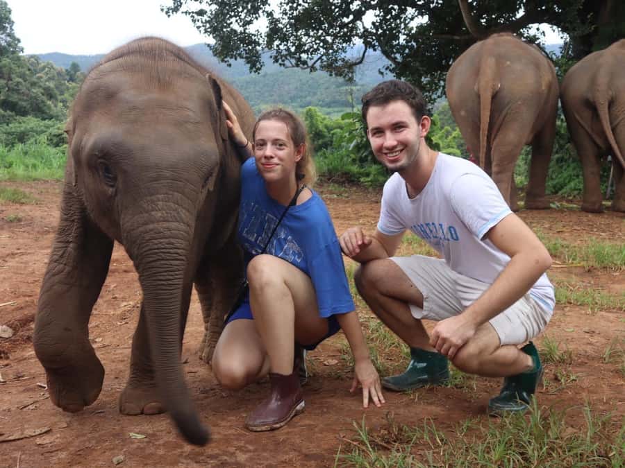 Chiang Mai: Doi Inthanon and Elephant Sanctuary Tour - Doi Inthanon’s highest point area and the fern forest trail