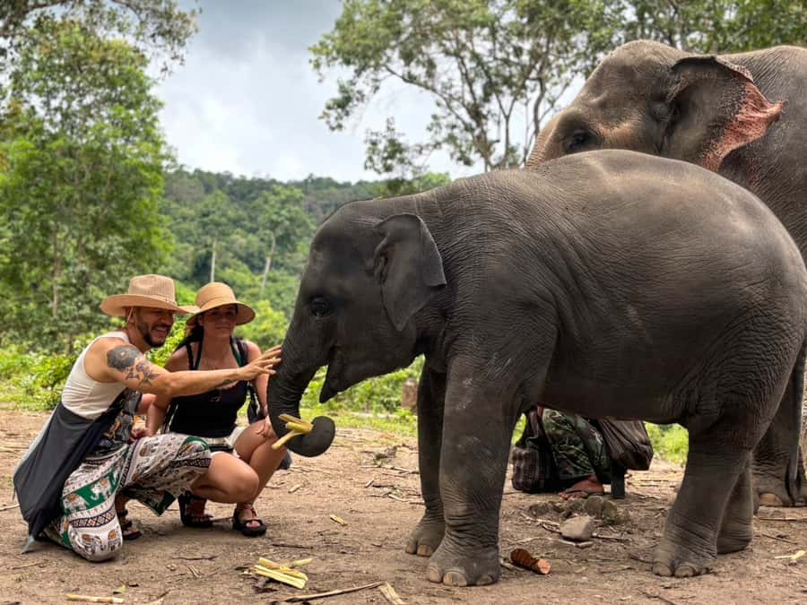 Chiang Mai: Doi Inthanon and Elephant Sanctuary Tour - Lunch breaks the day: local flavors, and seating that can surprise you
