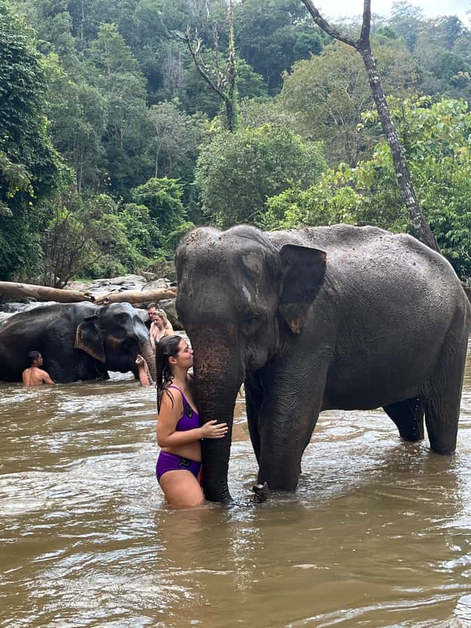Chiang Mai: Doi Inthanon and Elephant Sanctuary Tour - The elephant sanctuary day: Karen village style and guided feeding