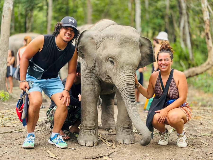 Chiang Mai: Doi Inthanon and Elephant Sanctuary Tour - The morning start: meeting point and what to expect on the road