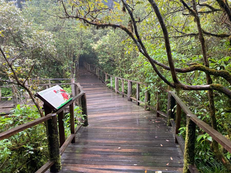 Chiang Mai: Doi Inthanon Explore & ATV Adventure - Lunch and soft drinks: a quick reset that keeps the day moving
