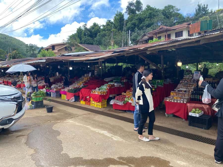 Chiang Mai: Doi Inthanon Explore & ATV Adventure - Kew Mae Pan and Pha Dok Siew nature trails: short walks with real logistics
