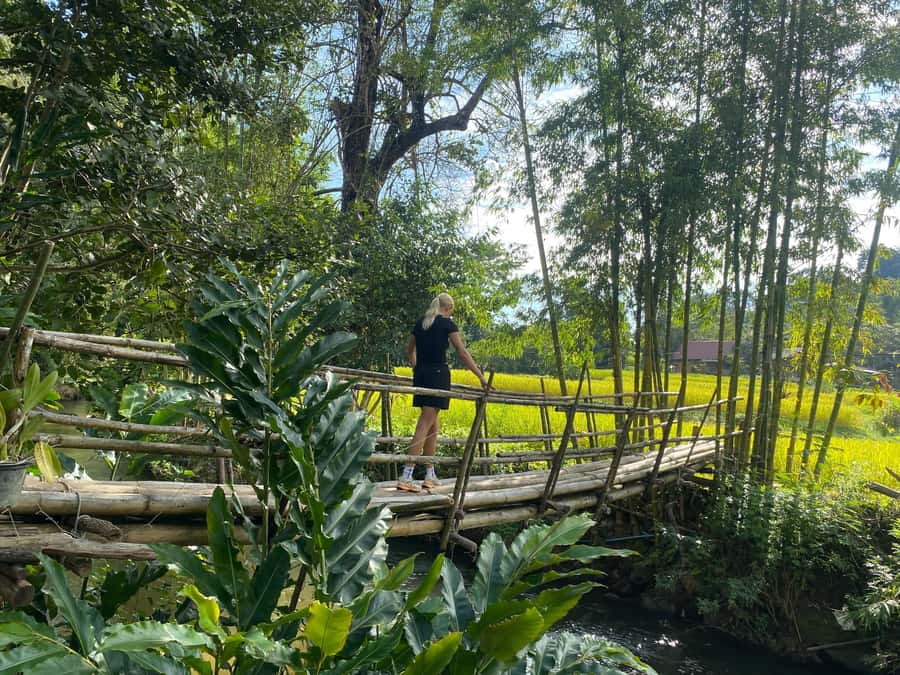 Chiang Mai: Doi Inthanon Explore & ATV Adventure - The Doi Inthanon summit segment: big views, scheduled walking