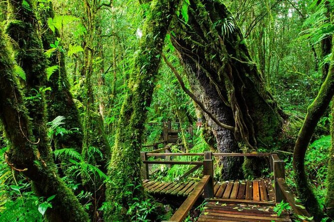Chiang Mai - Doi Inthanon Full day Tour - Doi Inthanon National Park and the high point experience
