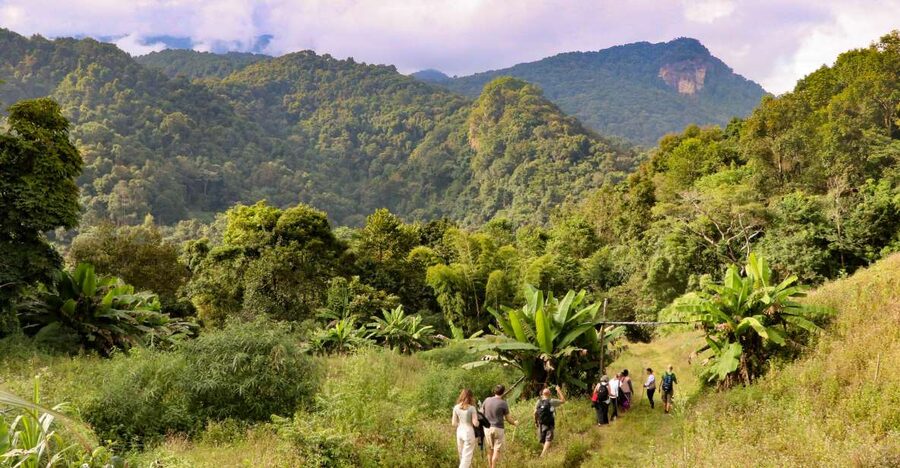 Chiang Mai: Doi Inthanon Highlights Small Group Tour - Key highlights worth getting excited about