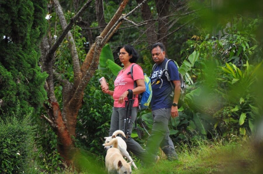 Chiang Mai: Doi Inthanon Highlights Small Group Tour - Tips to make your day smoother (before you even arrive)
