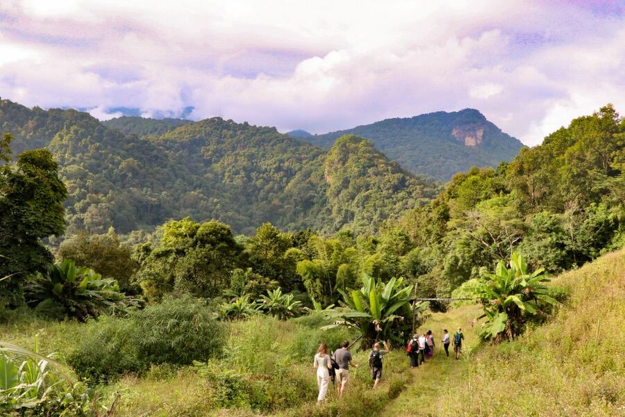 Chiang Mai: Doi Inthanon Highlights Small Group Tour - Twin pagodas: gardens, architecture, and easy photo stops
